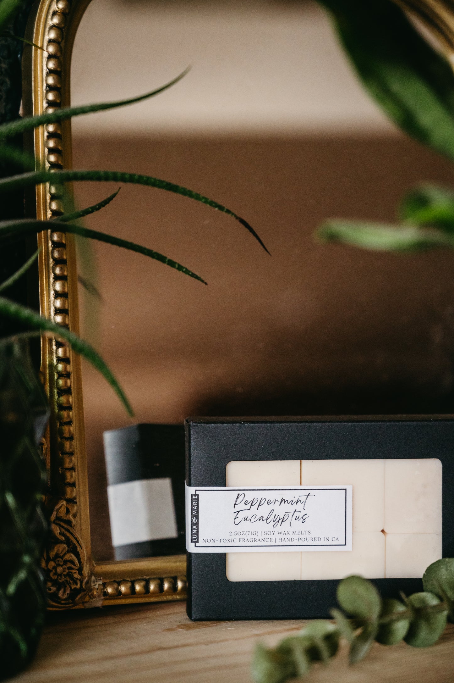 Peppermint Eucalyptus Wax Melts