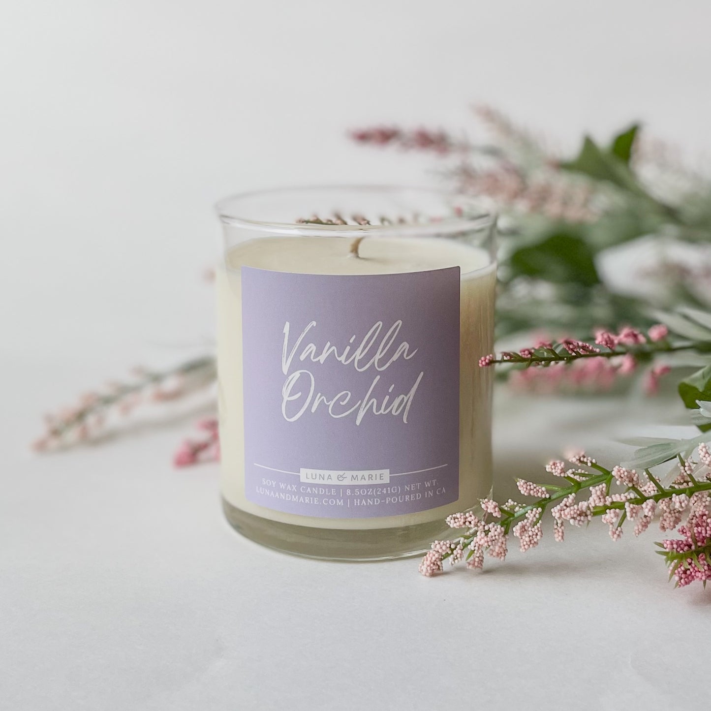 Vanilla Orchid