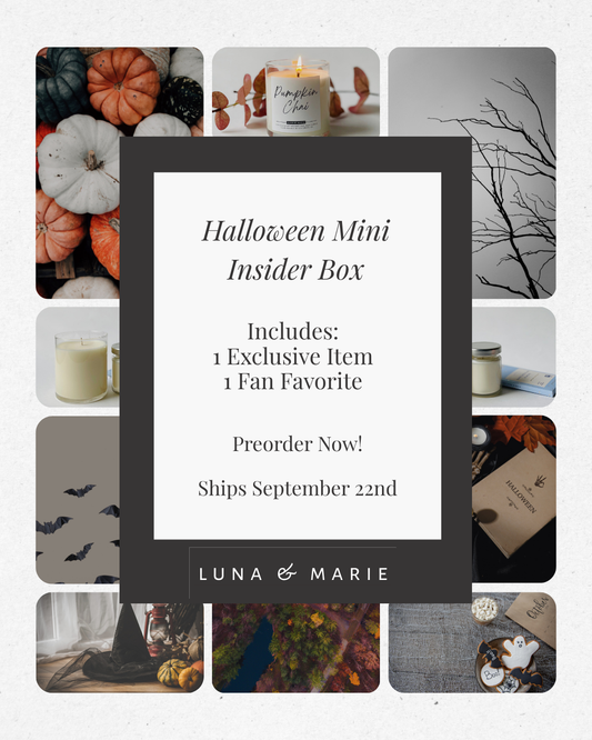 Halloween 2025 Mini Insider Box