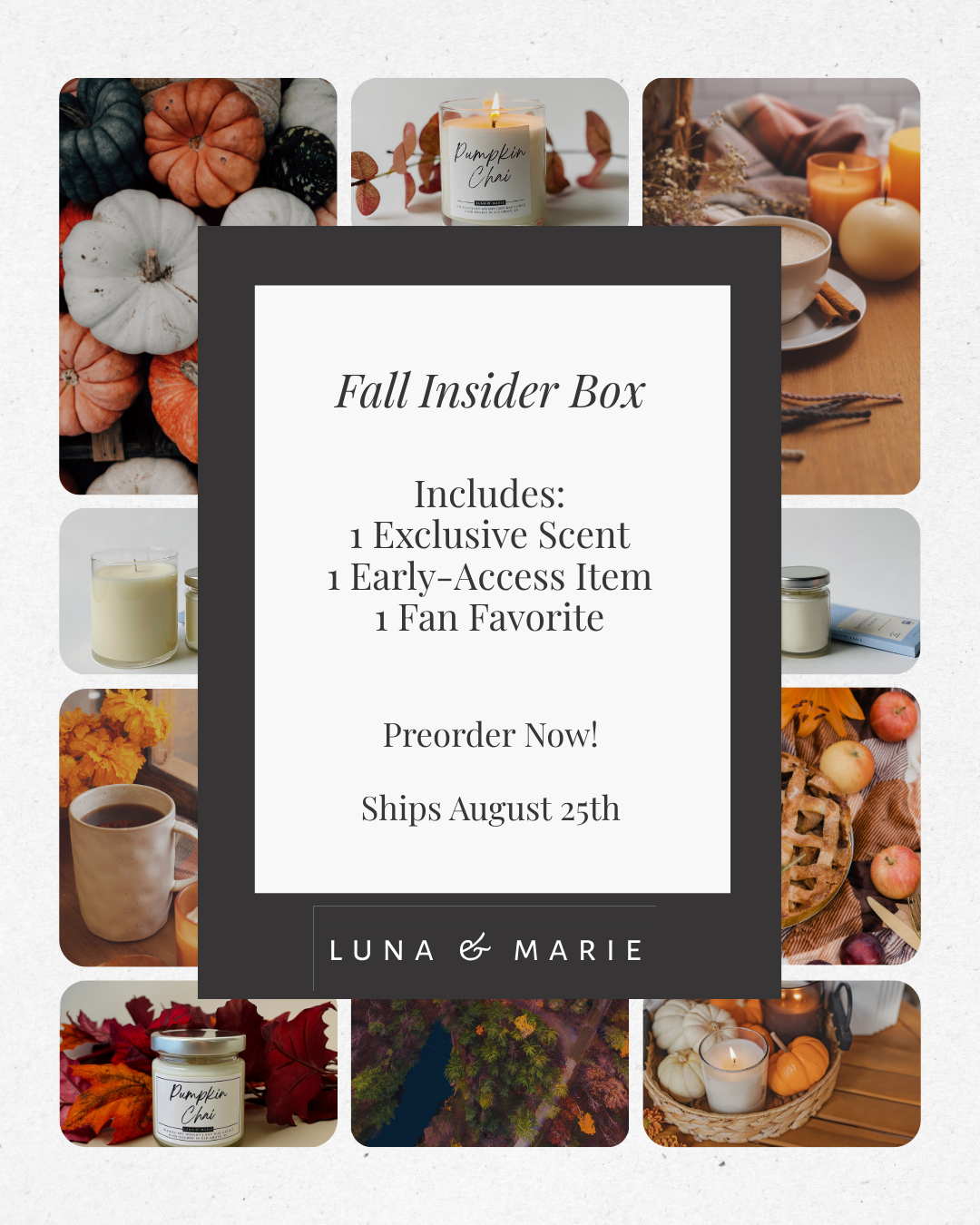 Fall 2025 Insider Box